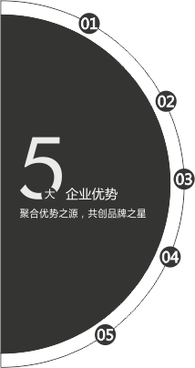 企业优势图